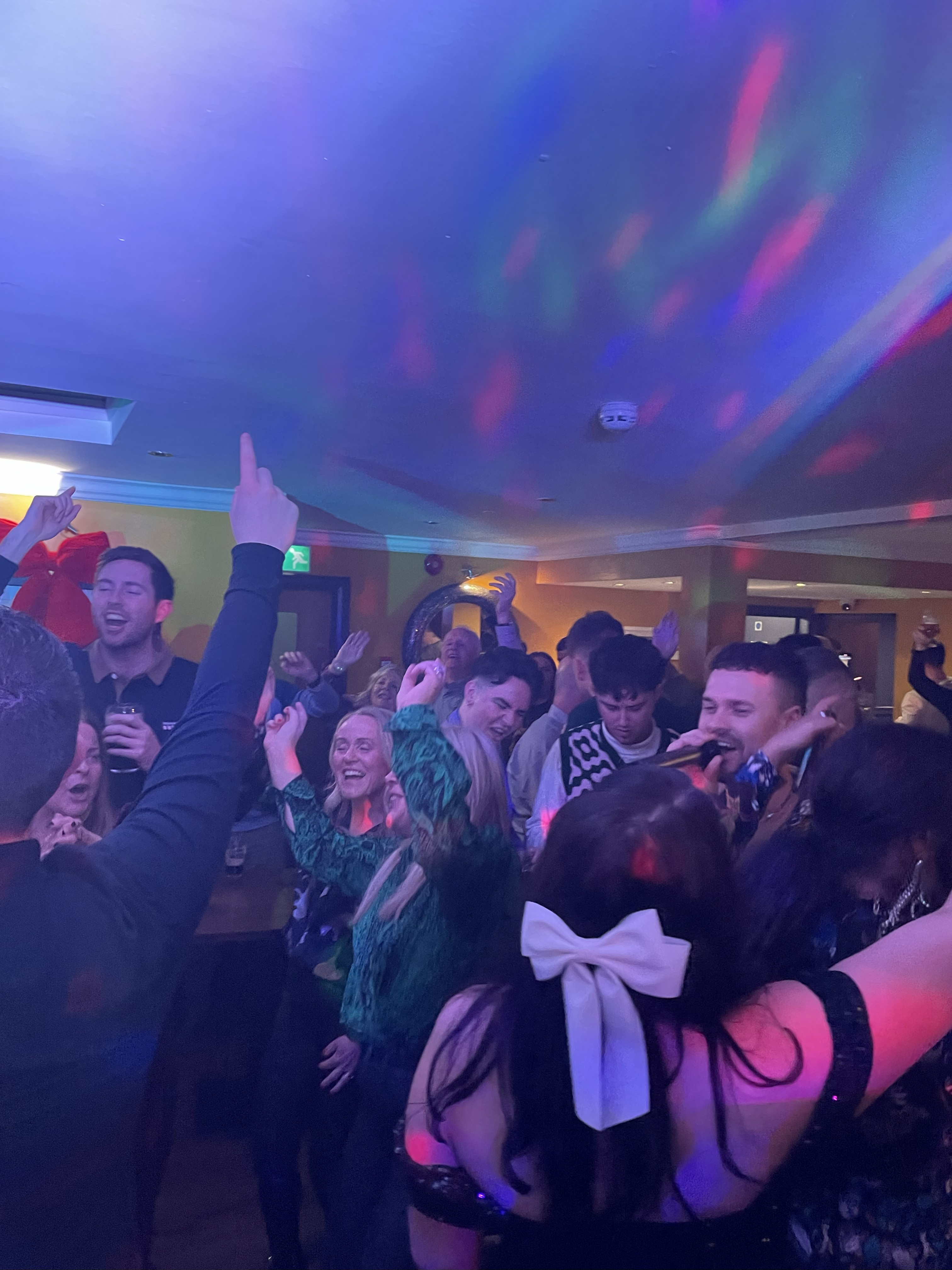 Party crowd cheering to the music